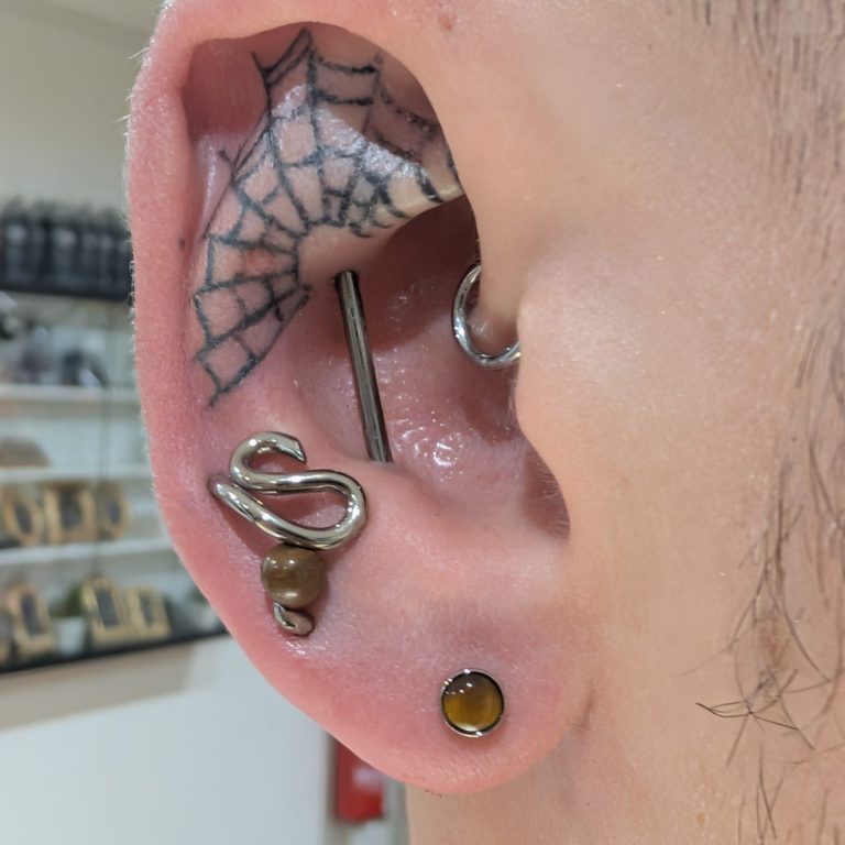 ear piercing featuring custom jewellery from apex in niobium and a tigers eye cabochon from junipurr jewelry 
